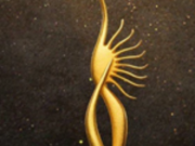 IIFA 2023: इस दिन होगा ‘आईफा 2023’ का आगाज, देखें नॉमिनेशन की पूरी लिस्ट ! iffa