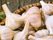 इस तरह खाएं लहसुन, चंद दिनों में काट देगा पेट की चर्बी 1