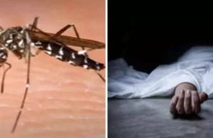 Uttarakhand: डेंगू से पीड़ित सिपाही की मौत, तीन दिन पहले आया था बुखार, नेहरू कालोनी थाने में थे तैनात