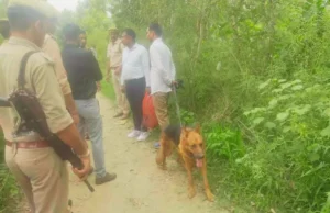 Bareilly Crime: महिला की हत्या कर खेत में फेंका शव, दुष्कर्म की आशंका; फोरेंसिक व डाग स्क्वायड भी बुलाई गई नहीं हो सकी पहचान