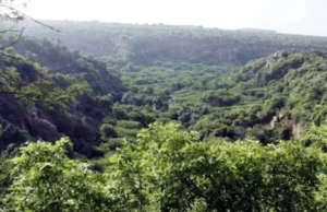 देहरादून: नदियों किनारे वन विभाग की भूमि पर अतिक्रमण के खिलाफ अभियान जारी, कब्जामुक्त कराई गई नदियों किनारे अभियान में 2507 एकड़ भूमि मुक्त