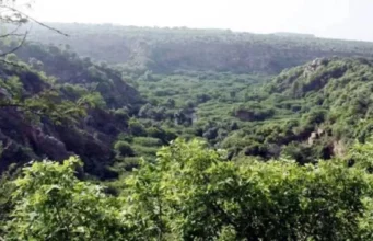 देहरादून: नदियों किनारे वन विभाग की भूमि पर अतिक्रमण के खिलाफ अभियान जारी, कब्जामुक्त कराई गई नदियों किनारे अभियान में 2507 एकड़ भूमि मुक्त