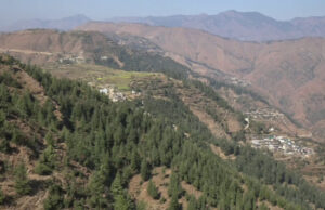 देहरादून: मोदी गवर्नमेंट से जल, जंगल का हिसाब लेगी धामी सरकार! उत्तराखंड में बहुमूल्य प्राकृतिक संपदा की कीमत हो रही तय