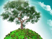 International Day of the Preservation of the Ozone Layer 2023 : जानें ओजोन परत के लिए कौन सा केमिकल है सबसे ज्यादा खतरनाक… cover