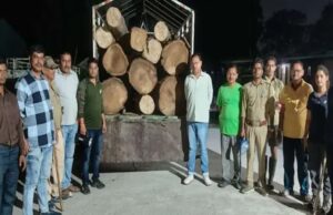 हल्द्वानी: लकड़ी तस्करी की सूचना पर वन विभाग की टीम ने की छापेमारी, सागौन से भरा पिकअप बरामद, तस्कर फरार