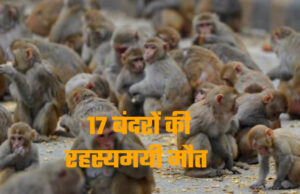 देहरादून: 17 बंदरों की मौत की गुत्थी सुलझाने में उलझी पुलिस! जहर देकर मारने की बात भी आ रही सामने, खंगाले जा रहे CCTV