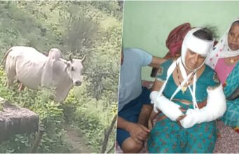 श्रीनगरः आवारा सांड ने महिला के तोड़ डाले हाथ, सिर पर भी गहरे घाव, बमुश्किल बची जान, ग्रामीणों ने आवारा जानवरों को पकड़ने की मांग