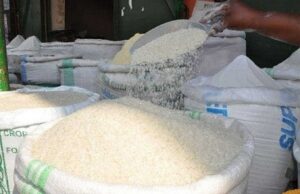 Rice Scam In Uttarakhand: उत्तराखंड में हुआ 600 करोड़ का चावल घोटाला, चावल घोटाला मामले में HC सख्त, नोटिस जारी कर सरकार से मांगा जवाब