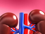 आयुर्वेद के अनुसार किडनी को स्वस्थ रखने के लिए इन चीज़ों पर दें ध्यान 1