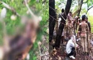 Uttarakhand: लापता बेटे को ढूंढ रहा था परिवार, डेढ़ साल बाद अल्मोड़ा के जंगल में मिला कंकाल…