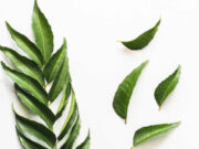 डायबिटीज के मरीजों के लिए वरदान है कढ़ी पत्ते का पानी, जानें सुबह इसे पीने के फायदे 1