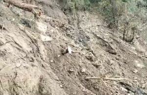 Uttarakhand: उत्तरकाशी में सड़क बनाने के लिए पहाड़ी काटने के दौरान भूस्खलन, मजदूरों ने भागकर बचाई जान, कई घरों में आई दरारें