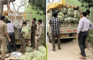 Uttarakhand: लौकी से भरा था हरियाणा से आ रहा लोडर, पुलिस ने तलाशी ली तो बरामद हुई नौ लाख की शराब..