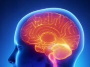 इस ब्लड ग्रुप वाले लोगों में रहता है Stroke का ज्यादा खतरा, ताजा स्टडी में हुआ चौंकाने वाला खुलासा 4