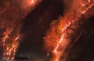 Nainital Forest Fire: नैनीताल के जंगलों में नहीं थम रहा आग का तांडव, चारों तरफ छाया धुआं..