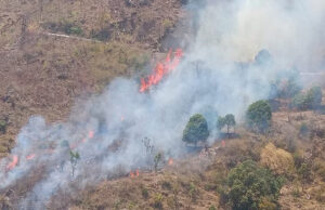 Haldwani: एक्शन में कुमाऊं कमिश्नर दीपक रावत, वीसी कर दिए सख्त निर्देश, जंगलों में आग लगाने वालों की खैर नहीं