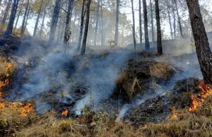 Uttarakhand Forest Fire: नेपाली मजदूर समेत सात को वनों में आग लगाते रंगे हाथ दबोचा, सभी पर मुकदमा, एक को जेल