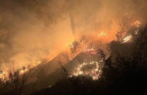 Forest Fire in Uttarakhand: भवाली के जंगलों में लगी भीषण आग, घरों तक पहुंची, बमुश्किल पाया काबू