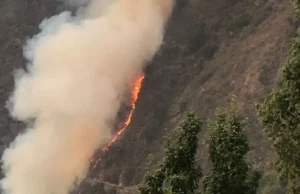 NAINITAL: स्कूल से घर लौट रहे बच्चे आग की विकराल लपटों के बीच फंसे, आबादी क्षेत्र को भी रुख करने लगी आग