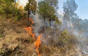 Uttarakhand Forest Fire: कुमाऊं में 41 हेक्टेयर जंगल खाक और वन विभाग करवा रहा कठपुलती डांस, ये क्या माजरा है भाई?