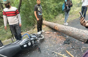 Accident in Uttarakhand : आंधी- तूफान से बाइक पर गिरा पेड़, दो युवकों की दर्दनाक माैत