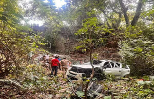 Nainital Accident: 100 मीटर गहरी खाई में जा गिरी कार, पांच बच्चे समेत 12 लोग घायल, मची चीख-पुकार