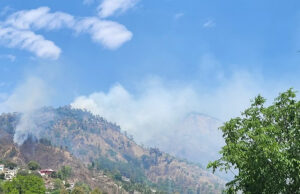 Uttarakhand: हर दिन डेढ़ हेक्टेयर वन भूमि हो रही कम, पांच साल में ढाई हजार हेक्टेयर से अधिक वन भूमि हस्तांतरित