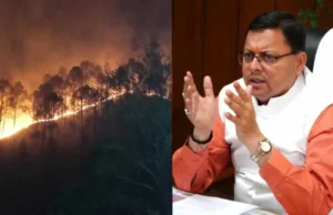 Uttarakhand Forest Fire: जंगल की आग बुझाने गए चार वनकर्मियों की दर्दनाक मौत, सीएम धामी ने की 10-10 लाख रुपये देने की घोषणा