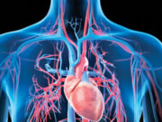 हार्ट को रखना चाहते हैं चुस्त-दुरुस्त, तो आज से ही शुरु कर दें ये 4 काम, लंबी उम्र तक नहीं होगी दिल की बीमारी 1