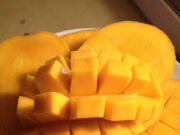 कौन-सी बीमारी में आम नहीं खाना चाहिए? 1