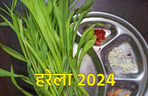 Harela 2024: उत्तराखंड में आज हरेला पर्व के साथ शुरू हुआ सावन का महीना, इस लोकगीत के साथ मनाएं ये लोकपर्व