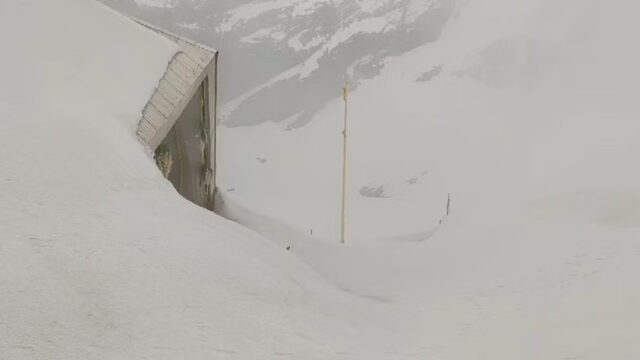 a - 2024-07-28T224809.929