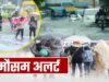 Uttarakhand Weather: आज और कल उत्तराखंड में भारी बारिश का रेड अलर्ट, नैनीताल समेत तीन जिलों में बंद रहेंगे स्कूल