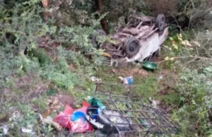 Uttarakhand: चंपावत में गहरी खाई में गिरी मैक्स गाड़ी, 14 यात्री घायल, 2 की हालत गंभीर