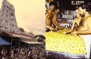 Tirupati laddu Controversy: राजधानी दून में घी को लेकर उठ रहे सवाल, 40 से अधिक ब्रांड, 200 से लेकर 2000 तक दाम