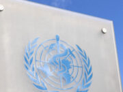 शरीर में दीमक की तरह काम करते हैं 5 Unhealthy Foods, WHO ने बताया सेहत के लिए सबसे बड़ा खतरा 1