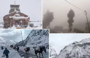 Uttarakhand: कुमाऊं में शीतलहर, पाला पड़ने से माइनस में तापमान, चंपावत-मुक्तेश्वर में मौसम के सबसे निचले स्तर पर पहुंचा पारा