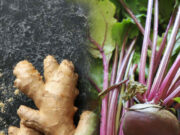 सर्दी में बाॅडी को गर्म रखेंगी 5 Root Vegetables, ब्लोअर-अंगीठी के सामने नहीं पड़ेगी बैठने की जरूरत a