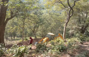 Uttarakhand: रिजॉर्ट बनाने के लिए काटे संरक्षित प्रजाति के पेड़, कैबिनेट मंत्री के बेटे के खिलाफ मुकदमा दर्ज