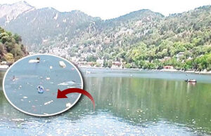 Uttarakhand: नैनीझील में प्रदूषण पर एनजीटी ने बैठाई जांच, कुमाऊं आयुक्त को बनाया नोडल अधिकारी