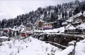 Weather Update: उत्तराखंड के इन पांच जिलों में अगले तीन दिन पड़ेगी कड़ाके की सर्दी, होगी बर्फबारी