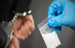 Nainital News: बच्चों को नशा तस्करों से बचाने के लिए हो काम, हाईकोर्ट ने पुलिस अफसरों से एक सप्ताह में मांगे सुझाव