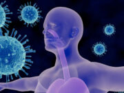 गर्मियों में आपकी भी Immunity हो जाती है कमजोर, तो डाइट में शामिल करें 8 फल और सब्जियां a