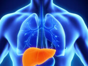 World Liver Day 2025: लिवर को हेल्दी रखने के लिए करें ये छोटे-छोटे 10 काम, दूर ही रहेंगी कई बीमारियां a