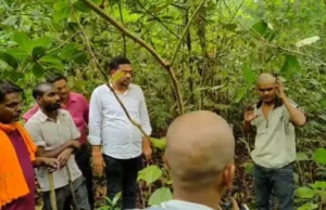 Rishikesh News: जंगल में मालू के पत्ते लेने के गए मजदूर पर बाघ ने किया हमला, दर्दनाक मौत