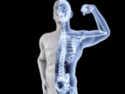 हड्डियों और मसल्स को मजबूत बनाएंगे ये 5 सीड्स, 30 के बाद जरूर करें डाइट में शामिल a