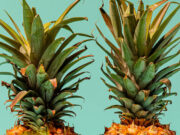 अनानास खाने से मिलेंगे 6 फायदे, दूर हो जाएंगी सेहत की परेशानियां; शरीर में दिखेगा कमाल का बदलाव a