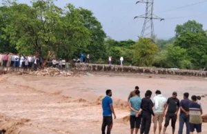 Uttarakhand: हरिद्वार में बारिश बनी आफत, चीला जंगल में डेढ़ घंटे 14 जिप्सियाें में फंसे रहे 70 पर्यटक, सुरक्षित रेस्क्यू किए