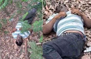 Haldwani News: जंगल में मिला प्रॉपर्टी डीलर का शव, घटनास्थल पर उसकी स्कूटी भी मिली, जांच में पुलिस