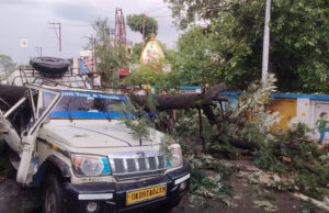 Dehradun: चकराता रोड पर हादसा, चलती गाड़ी पर गिरा बड़ा पेड़, एक सवारी की मौत, कई घायल